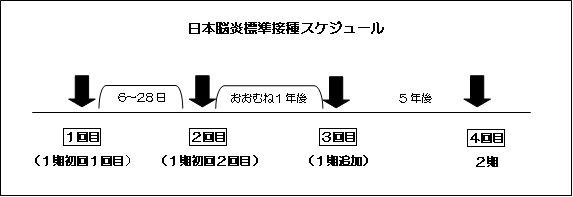 日本脳炎標準接種スケジュール