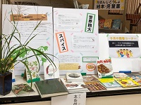 カレー展示２