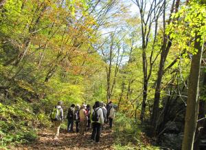 奥滝山峡散策の様子