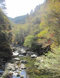 奥滝山峡のようす