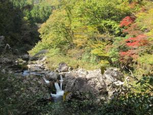 奥滝山峡のようす