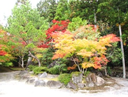 ほとけばら遊園