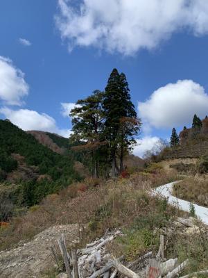 金屋子神社跡