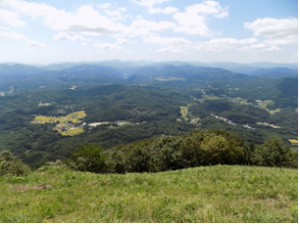 龍頭山頂上