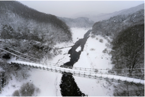 冬の大渡橋