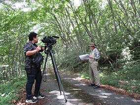 臥龍山の画像1