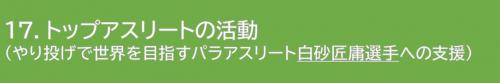 使途選択（17白砂匠庸選手）