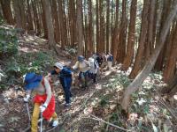 登っている様子