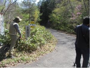 林道の写真
