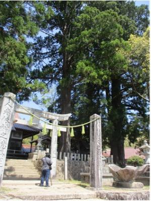 熊野新宮神社の写真