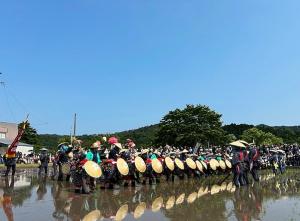 壬生の花田植