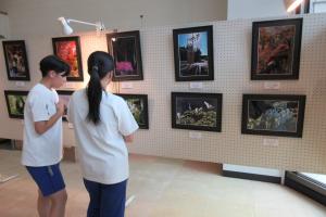 写真コンテスト