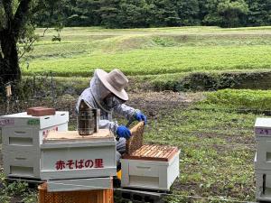 養蜂