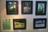 写真展3