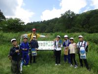 Ｃ１
