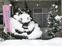 雪で白くなったオロチ