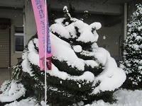 つげの木おろちにも雪が積もっています