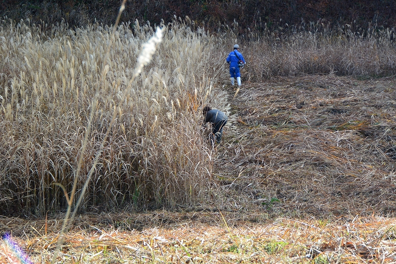 保護者の作業風景