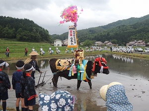 飾り牛登場