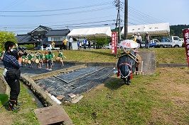 牛登場