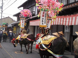 今年は14頭の飾り牛が出演し、その道行は圧巻！