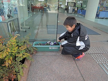 八重小学校からお花をいただきました