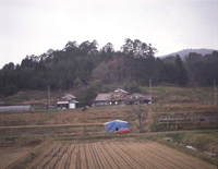 野田山城跡