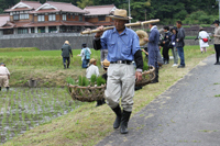 田植え5