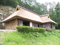 Traditional folk house