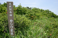 Naragashiwa community