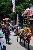 Michiyuki of cows(parade)
