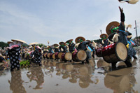 Naetori(Rice seedlings from nursery to bundling)