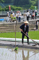 Eburi (paddy levelling tool) at water Inlets