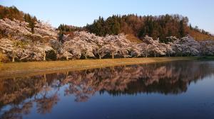 写真コンテストイメージ写真(1)