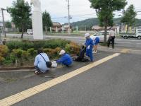 前の花壇もきれいになりました。