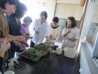 数ある多肉植物を真剣に選びました