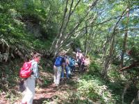 登山の様子