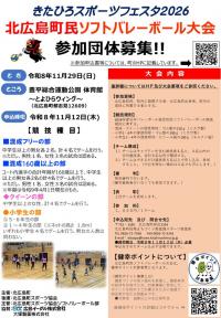 ソフトバレーボール　チラシ