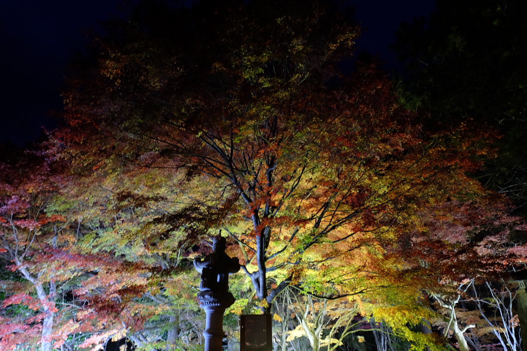 ほとけばら遊園②（2021年11月2日撮影）