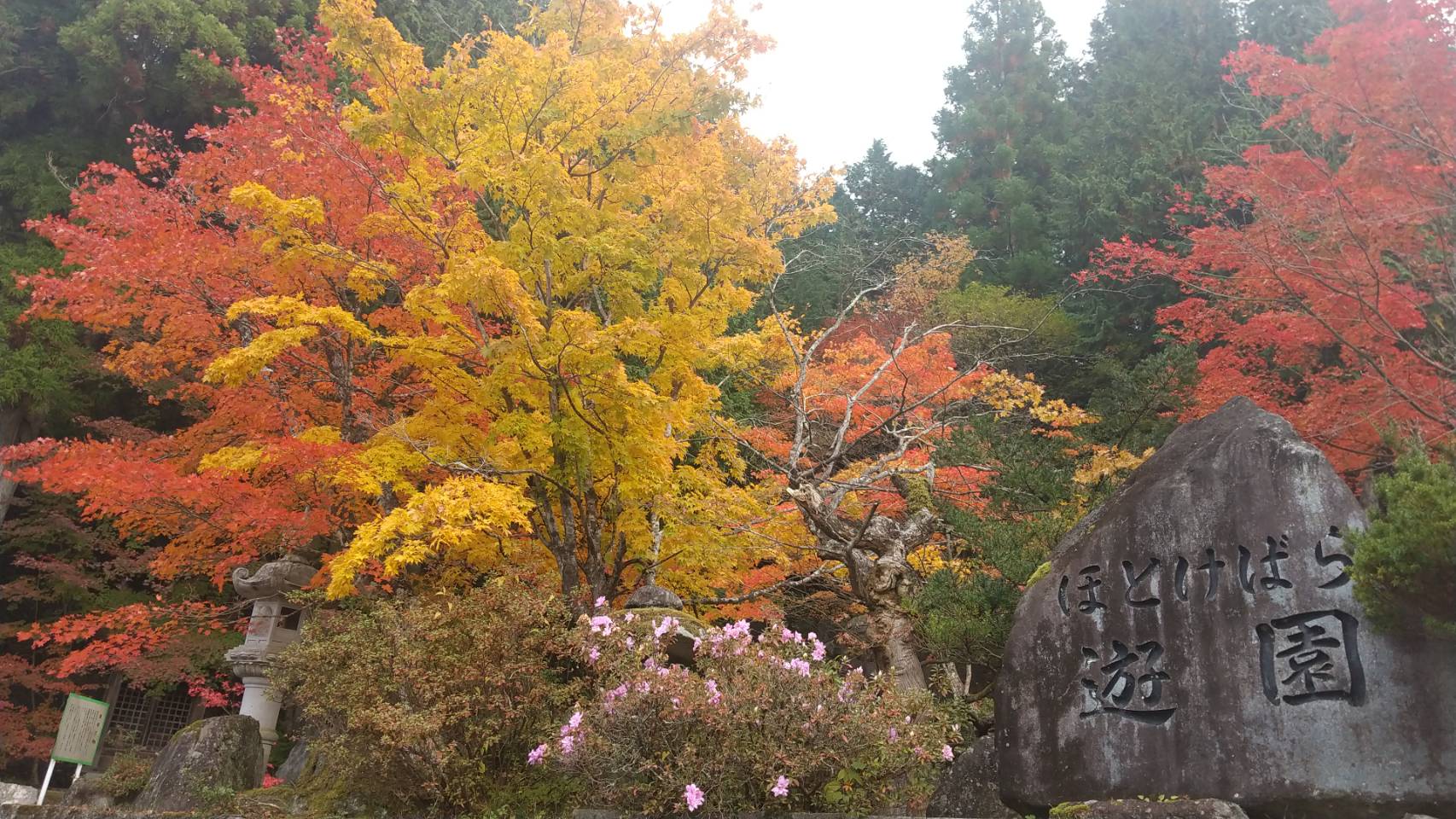 ほとけばら遊園（2021年10月27日撮影）