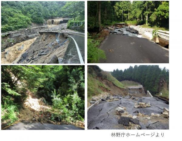 林野庁ホームページより